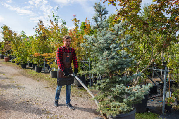  Salem, VA Tree Care Services Pros